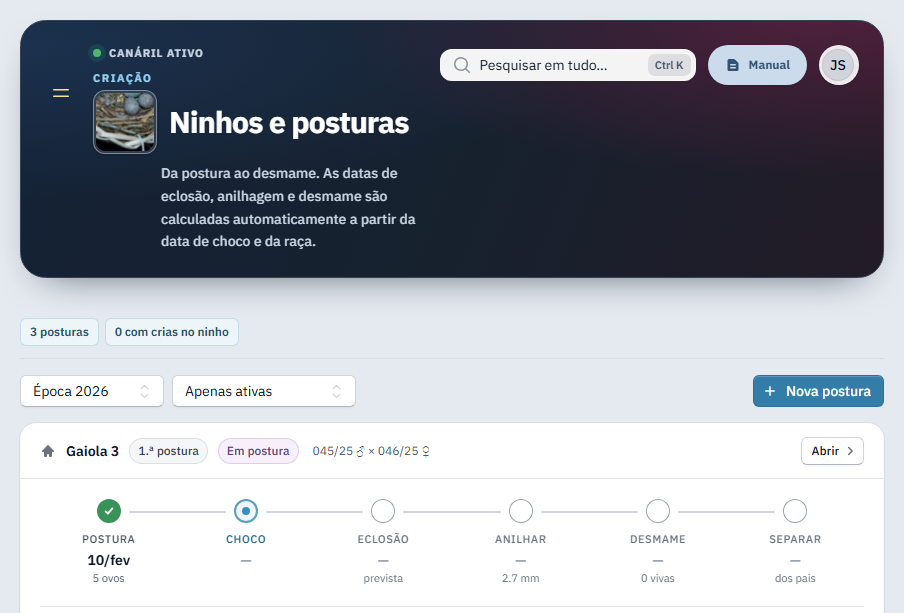 Página completa de ninhos e posturas